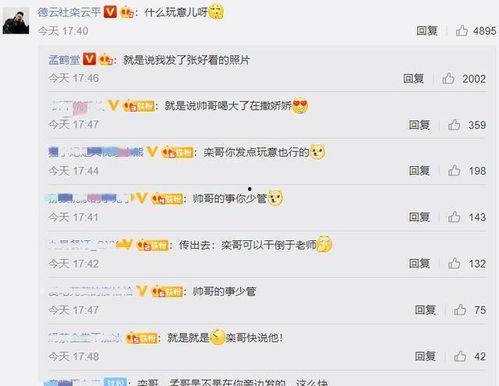 娱乐吃瓜酱评论区,揭秘明星幕后故事,笑料百出